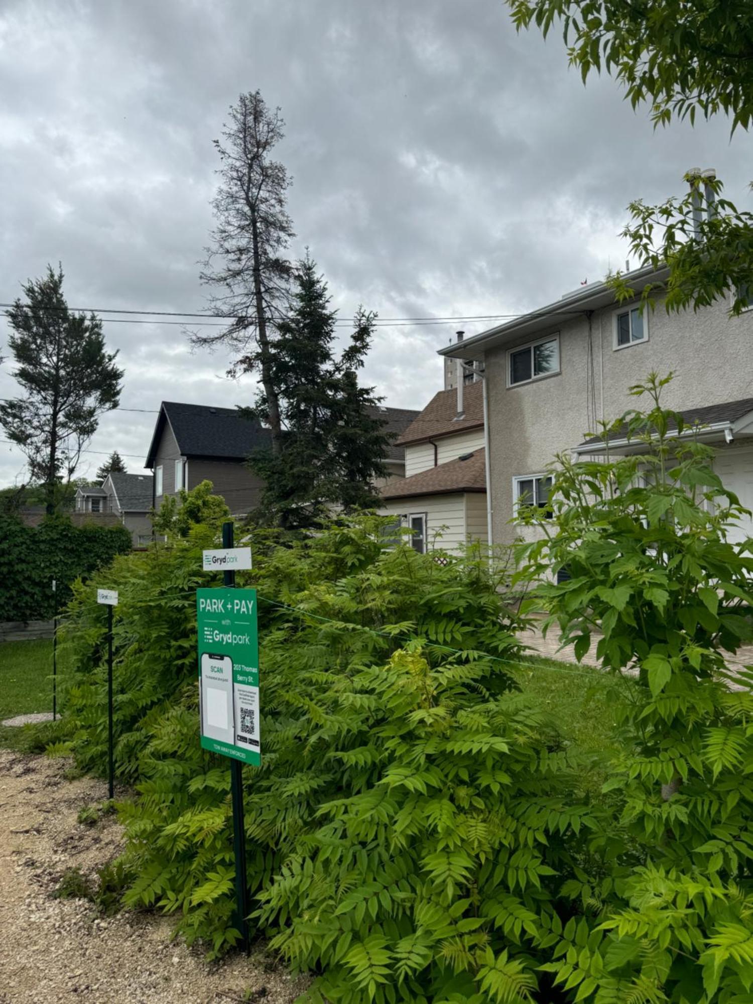 הוילה וויניפג Walking Distance To St Boniface, Easy Parking מראה חיצוני תמונה